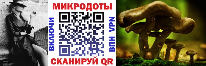 Псилоцибиновые грибы Psilocybine cubensis  Среднеуральск 